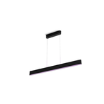 Philips Hue Ensis pendant black 79W 24V 79 W White and Colour Ambiance 2000-6500K