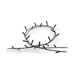 Išmanusis foninis apšvietimas Philips Hue Festavia string lights 500 LED, 40mVariable