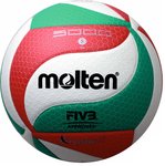 Kamuolys tinkl competition MOLTEN V5M5000-X FIVB