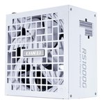 Power SupplyLIAN LIATXPC100 - 240 V1000 WG9P.RS1000G.W000.EU