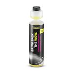 Automobilio vasarinis stiklų ploviklio koncentratas KARCHER 1:100 RM 672, 6.296-110.0, 250ml