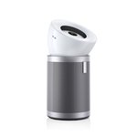 Dyson BP02 Pur Big &amp; Quiet EU/TR/MEA Wh/Sv