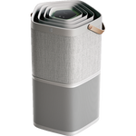 Oro valytuvas ELECTROLUX A9,PA91-404GY, pilkas