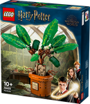 Konstruktorius LEGO Harry Potter Mandragora 76433
