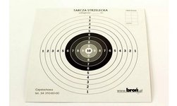 Popieriniai diskai 17x17 cm 100 vnt.