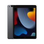 Planšetinis kompiuteris APPLE iPad 10.2" Wi-Fi + Cellular 256GB Space Grey 9th gen