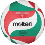 Suvenyrinis tinklinio kamuolys V1M300 sint. oda