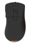 Žaidimų Pelė DELTACO GAMING belaidė, RGB, 16 000 DPI, 2.4 GHz USB, USB-C įkrovimas, juoda/ GAM-107