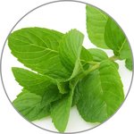 Medisana Aroma essence Peppermint