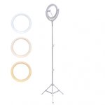 Selfie Ring Light LoomiPod Floor Lamp white