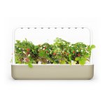 Išmanusis vazonas Click & Grow Smart Garden 9, beige