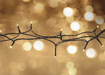 Išmani el. lauko ir vidaus girlianda DELTACO WI-FI, 120LED, IP44, 15m, šiltai baltos sp. / SH-LW15M