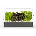 Išmanusis vazonas Click & Grow Smart Garden 9, grey