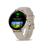 Sportinis laikrodis GARMIN Venu 3S, French Gray/Soft Gold