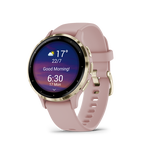 Sportinis laikrodis GARMIN Venu 3S, Dust Rose/Soft Gold