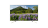 Televizorius SONY KD55XF7077