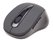 Pelė Gembird MUSWB2 6 button Optical Bluetooth mouse Black, Grey