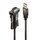 Adapteris LINDY 42855