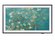 Televizorius QLED SAMSUNG QE32LS03CBUXXH