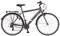 Dviratis PROPHETE, 28", Entdecker 7.0,Alu-Trekking, pilkas