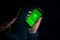 Ausinės RAZER Hammerhead For iOS, į ausis, žalios