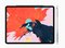 Planšetinis kompiuteris APPLE iPad Pro 11" Wi-Fi 256GB Silver