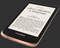 Elektroninė skaityklė POCKETBOOK Touch HD 3 Grey