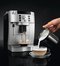 Kavos virimo aparatas DELONGHI Magnifica Smart ECAM250.31SB