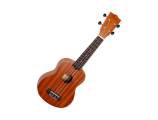 Gitaros ir jų priedai