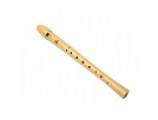 Pučiamieji instrumentai