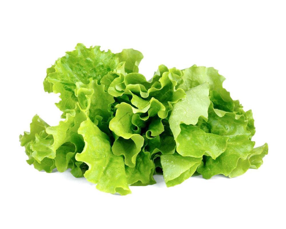 Click & Grow Smart Garden refill Lettuce 3pcs