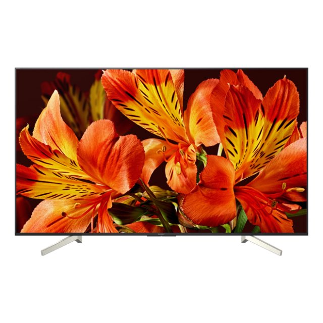 Televizorius SONY KD49XF8596