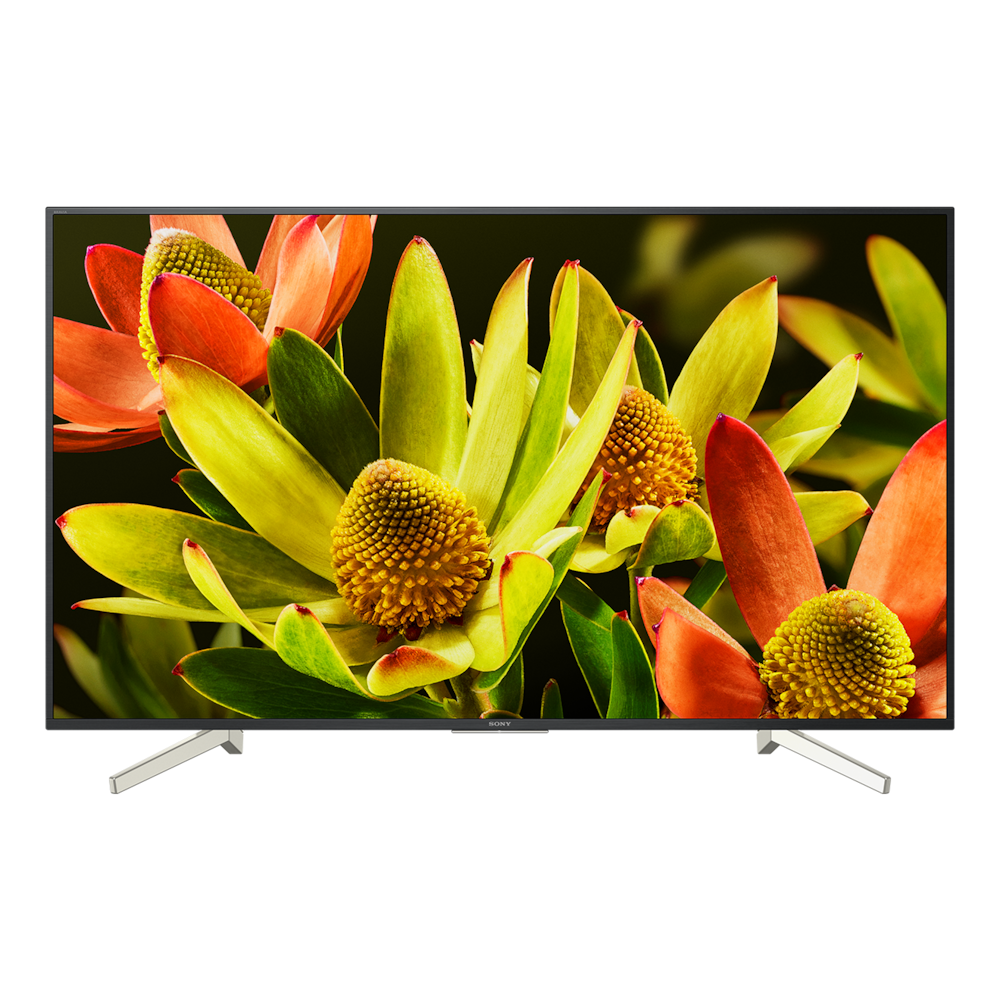 Televizorius SONY KD60XF8305