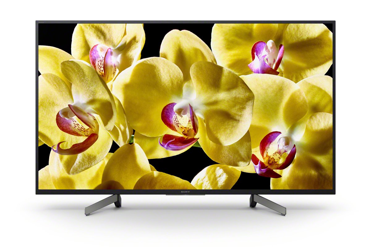 Televizorius SONY KD49XG8096