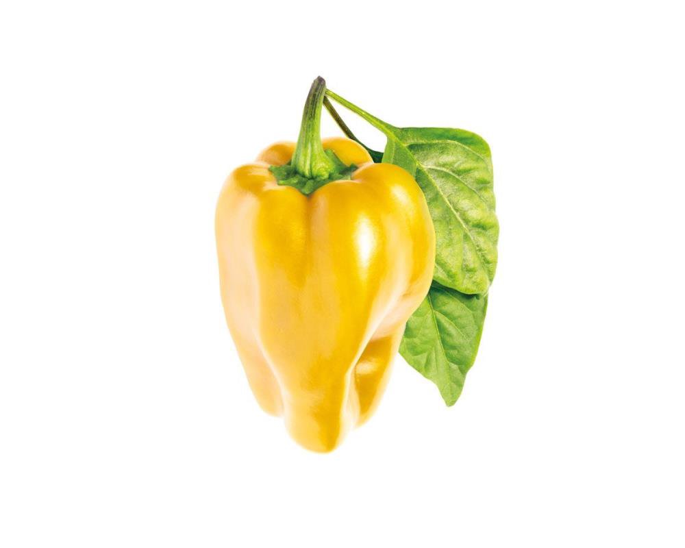 Click & Grow Smart Garden refill Yellow Sweet Pepper 3pcs