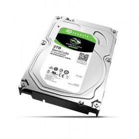 Vidinis kietasis diskas HDD SEAGATE ST3000DM007