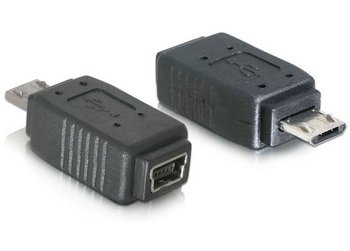 Adapteris DELOCK 65063