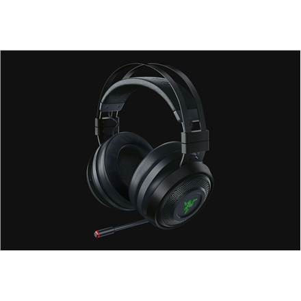 Ausinės Razer RZ04-02910100-R3M1