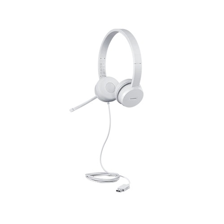 Ausinės Lenovo  USB Headset  110 Stereo  Yes  USB Type-A