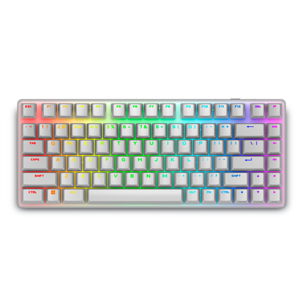 Klaviatūra Dell 545-BBFR Alienware Pro Wireless US Bluetooth Lunar Light