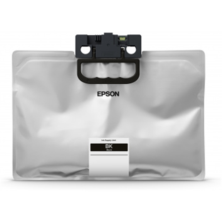 Rašalinė EPSON C13T01D100