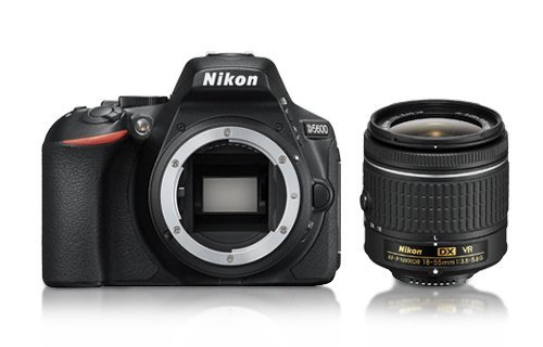 Fotoaparatas NIKON D5600 + AF-P 18-55 VR
