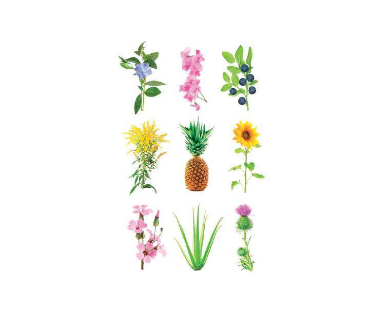 Click & Grow&nbsp;Grow Anything&nbsp;Soil&nbsp;refill
Compatible with Click & Grow Smart Garden
Set of 3 cartri