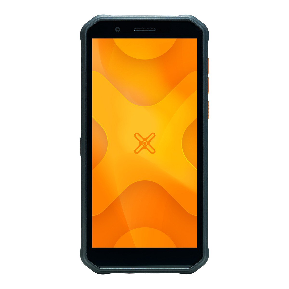 Mobilusis telefonas MyPhone Hammer Energy X Dual black/orange