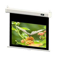 Ekranas sieninis ELITE M99NWS1