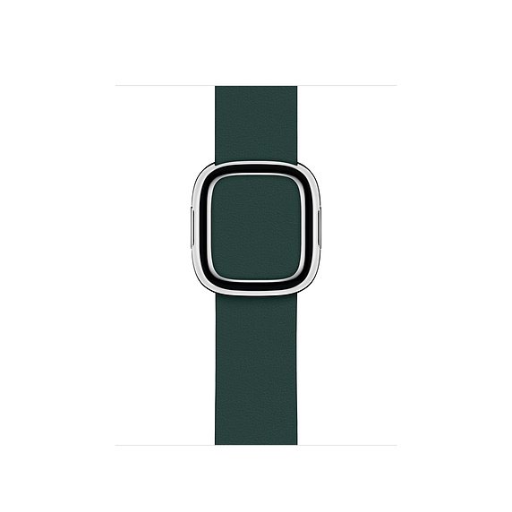 Dirželis APPLE išmaniajam laikrodžiui, 40mm S, odinis, moderni sagtis, žalias