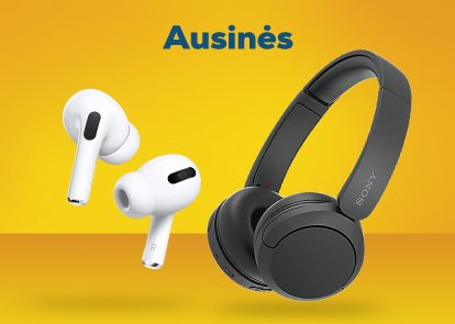 Ausinės