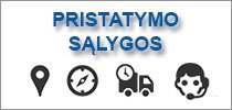 Pristatymo salygos