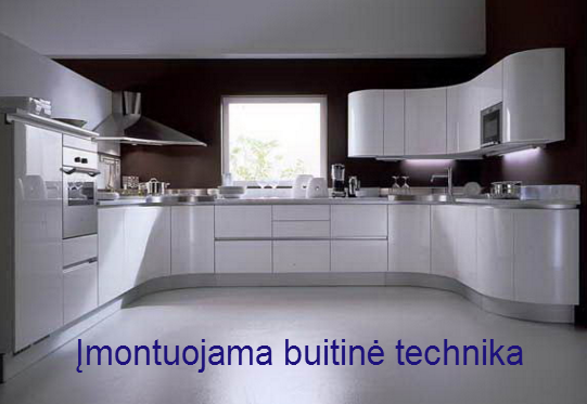 Kaip išsirinkti įmontuojamą buitinę techniką