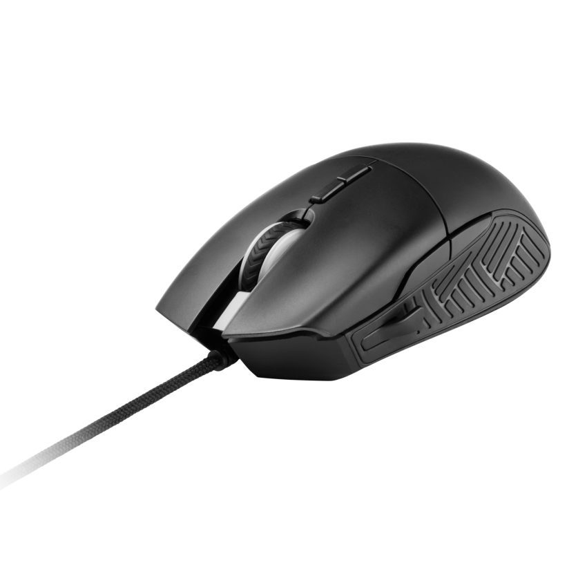Mouse 16